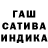 ГЕРОИН хмурый Tanuha Chernova