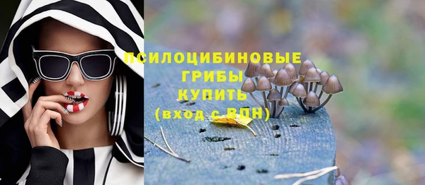 хмурый Заводоуковск