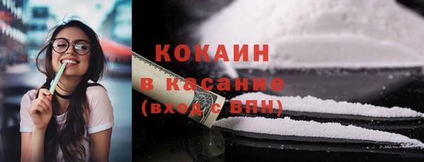 мдпв Елизово