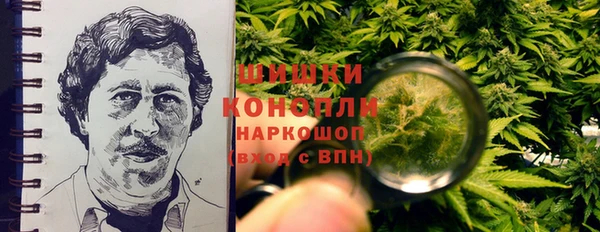 mix Ельня