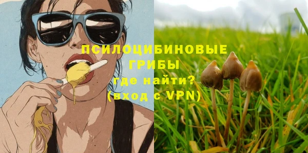 стафф Заволжье